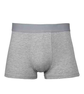 Men's Brief